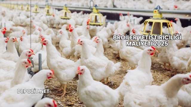 Broiler Yetiştiriciliği Maliyeti 2025