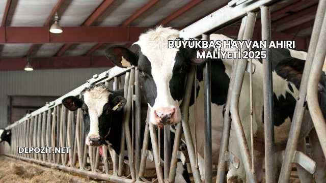 Büyükbaş Hayvan Ahırı Maliyeti 2025
