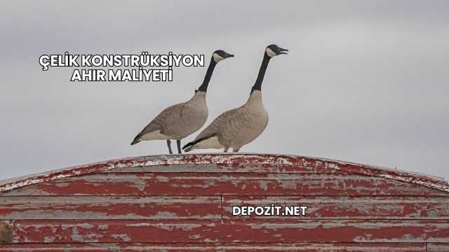 Çelik Konstrüksiyon Ahır Maliyeti