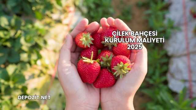 Çilek Bahçesi Kurulum Maliyeti 2025