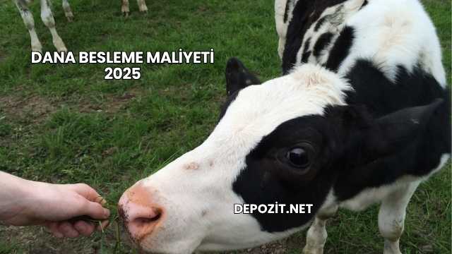 Dana Besleme Maliyeti 2025