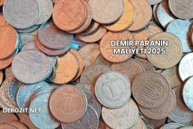 Demir Paranın Maliyeti 2025