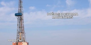 Doğalgaz Çıkarma Maliyeti 2025