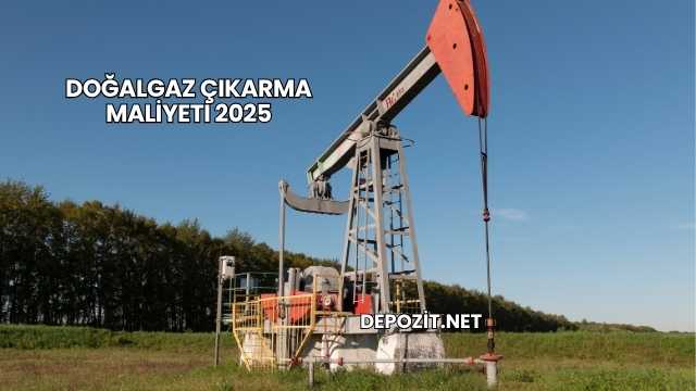 Doğalgaz Çıkarma Maliyeti 2025