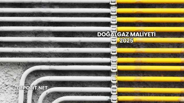 Doğalgaz Maliyeti 2025
