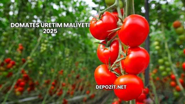 Domates Üretim Maliyeti 2025