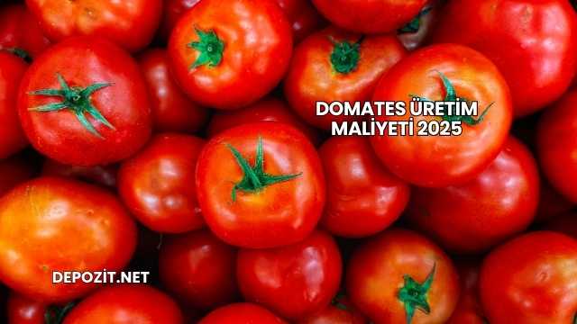 Domates Üretim Maliyeti 2025