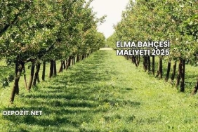 Elma Bahçesi Maliyeti 2025