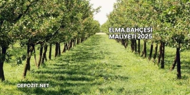 Elma Bahçesi Maliyeti 2025