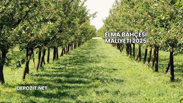 Elma Bahçesi Maliyeti 2025