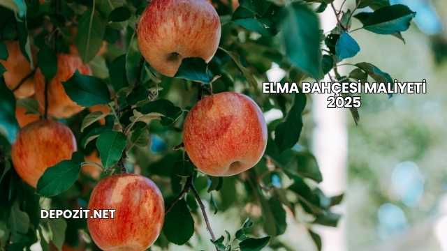 Elma Bahçesi Maliyeti 2025