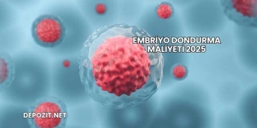Embriyo Dondurma Maliyeti 2025