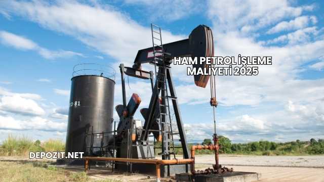 Ham Petrol İşleme Maliyeti 2025
