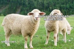 Hayvancılık Ruhsatı Maliyeti 2025