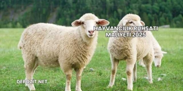 Hayvancılık Ruhsatı Maliyeti 2025