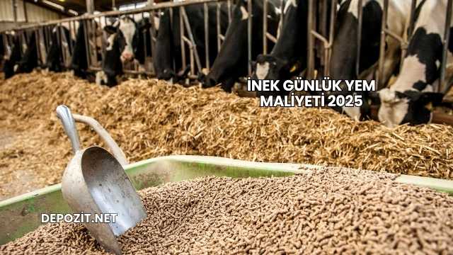 İnek Günlük Yem Maliyeti 2025