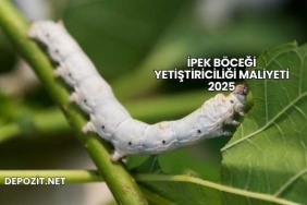 İpek Böceği Yetiştiriciliği Maliyeti 2025