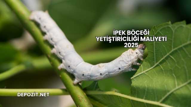 İpek Böceği Yetiştiriciliği Maliyeti 2025