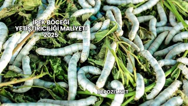 İpek Böceği Yetiştiriciliği Maliyeti 2025