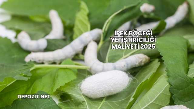 İpek Böceği Yetiştiriciliği Maliyeti 2025