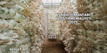 İstiridye Mantarı Yetiştirme Maliyeti 2025