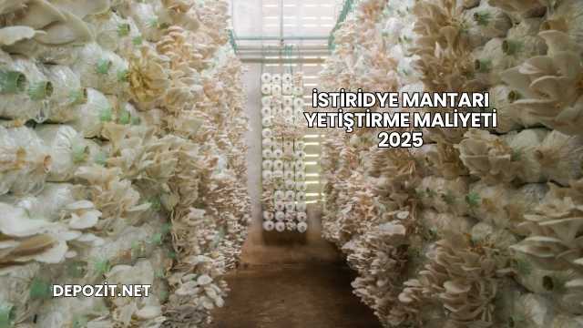 İstiridye Mantarı Yetiştirme Maliyeti 2025