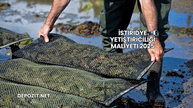 İstiridye Yetiştiriciliği Maliyeti 2025