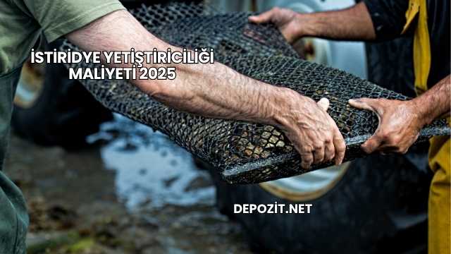 İstiridye Yetiştiriciliği Maliyeti 2025