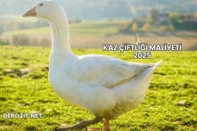 Kaz Çiftliği Maliyeti 2025