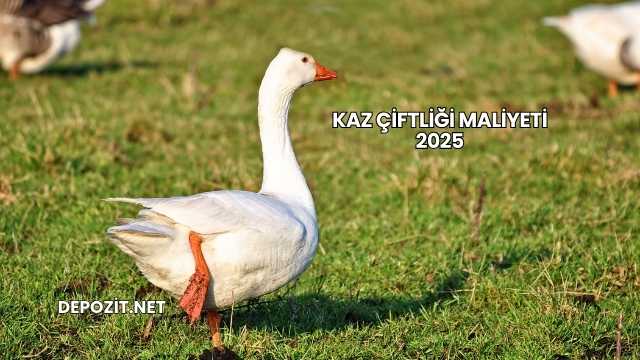 Kaz Çiftliği Maliyeti 2025