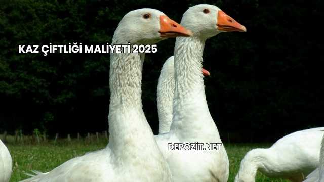 Kaz Çiftliği Maliyeti 2025