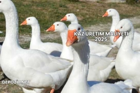 Kaz Üretim Maliyeti 2025