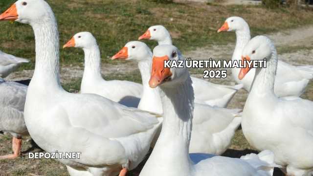 Kaz Üretim Maliyeti 2025