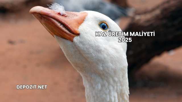 Kaz Üretim Maliyeti 2025