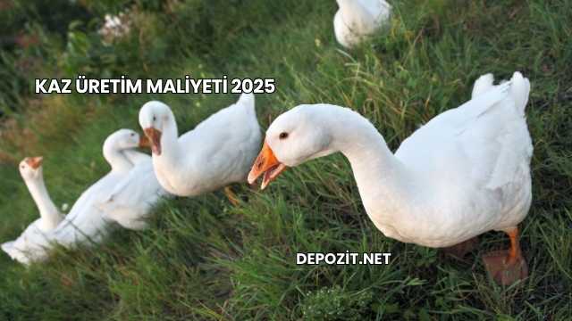 Kaz Üretim Maliyeti 2025