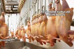 Kesimhane Kurulum Maliyeti 2025