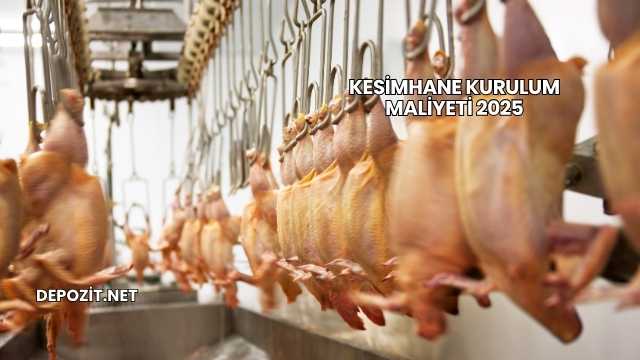 Kesimhane Kurulum Maliyeti 2025