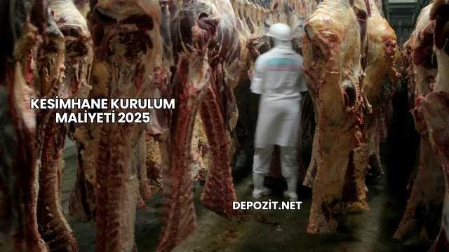 Kesimhane Kurulum Maliyeti 2025