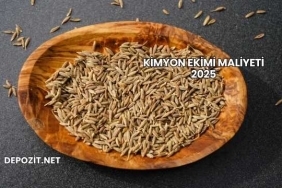 Kimyon Ekimi Maliyeti 2025