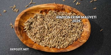 Kimyon Ekimi Maliyeti 2025
