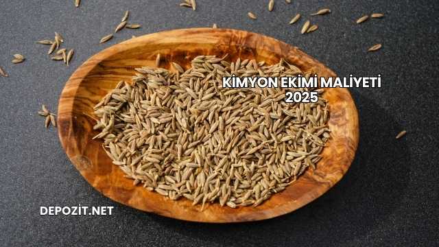 Kimyon Ekimi Maliyeti 2025