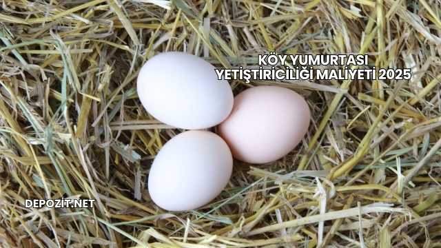 Köy Yumurtası Yetiştiriciliği Maliyeti 2025