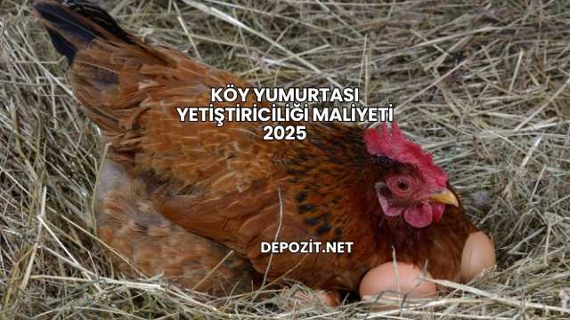 Köy Yumurtası Yetiştiriciliği Maliyeti 2025