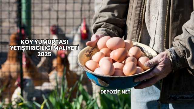 Köy Yumurtası Yetiştiriciliği Maliyeti 2025