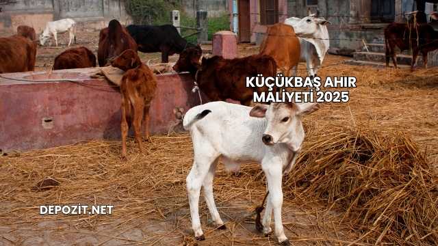 Küçükbaş Ahır Maliyeti 2025