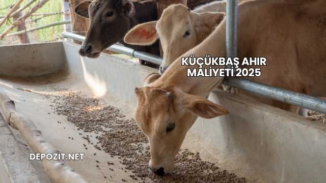Küçükbaş Ahır Maliyeti 2025