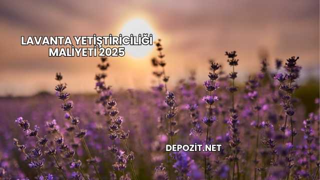 Lavanta Yetiştiriciliği Maliyeti 2025