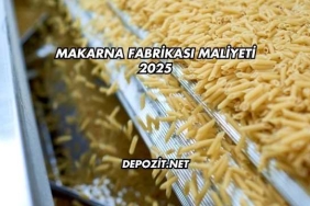 Makarna Fabrikası Maliyeti 2025