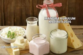 Mandıra Kurulum Maliyeti 2025