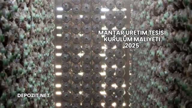 Mantar Üretim Tesisi Kurulum Maliyeti 2025